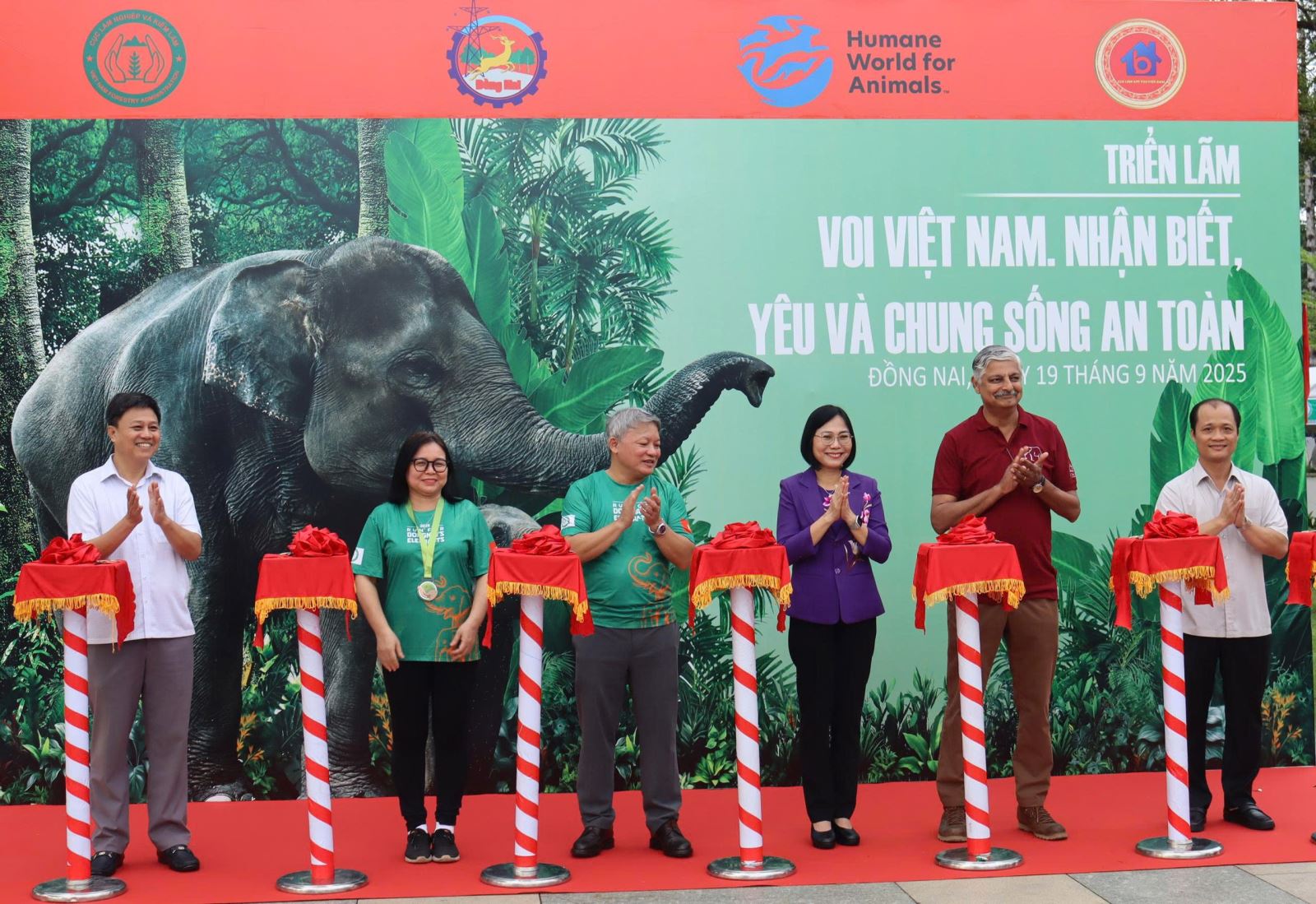 KHAI MẠC TUẦN LỄ BẢO TỒN VOI NĂM 2025